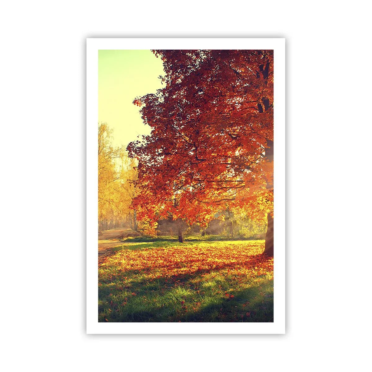 Plakát - Rudé je krásné - 61x91 cm
