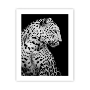 Plakát - Pravý profil perfektní! - 40x50 cm