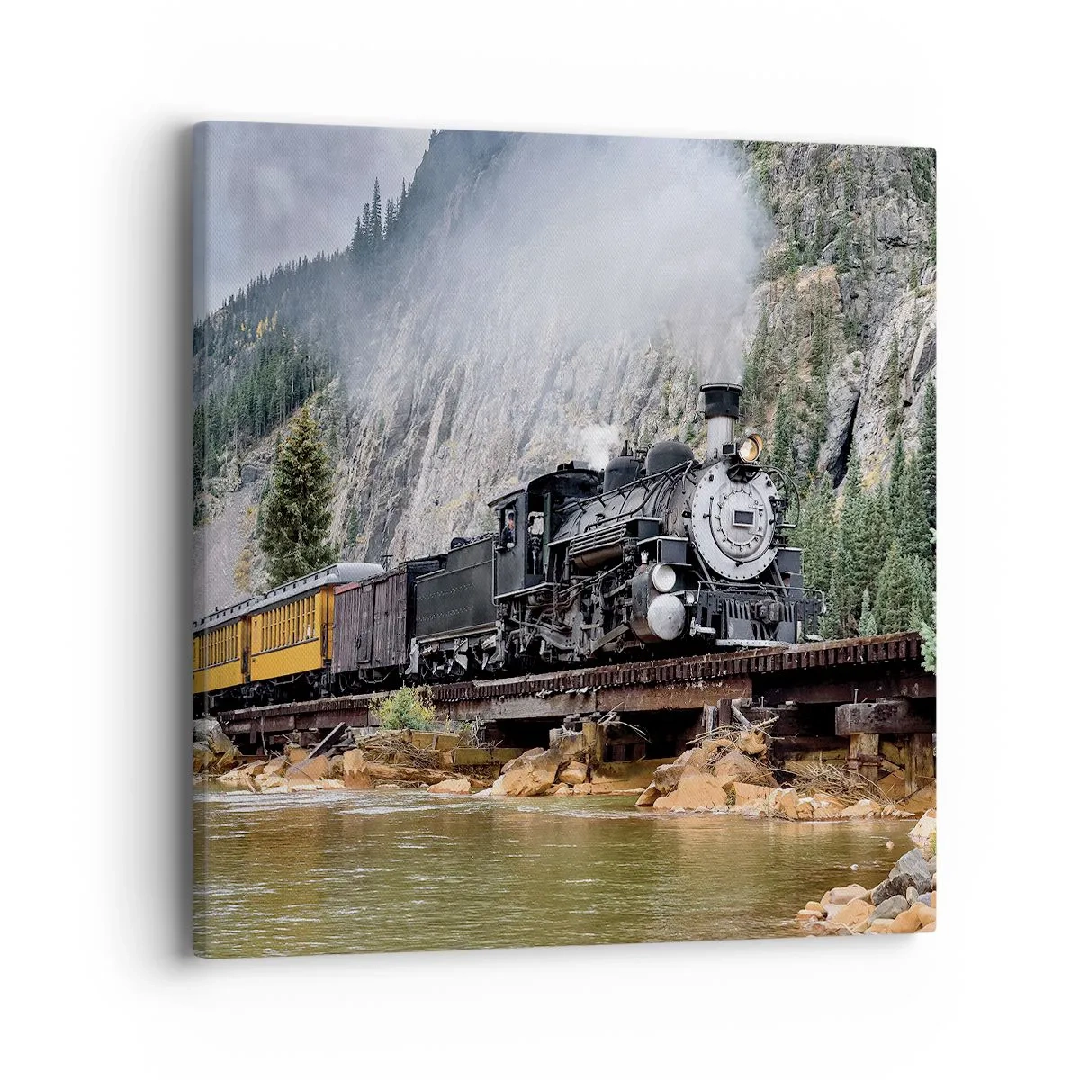 Obraz na plátně - Kampak? Kam? - 40x40 cm