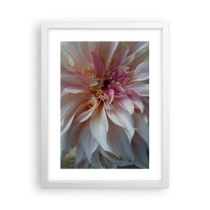 Plakát v bílém rámu - Kvetoucí svěžest - 30x40 cm