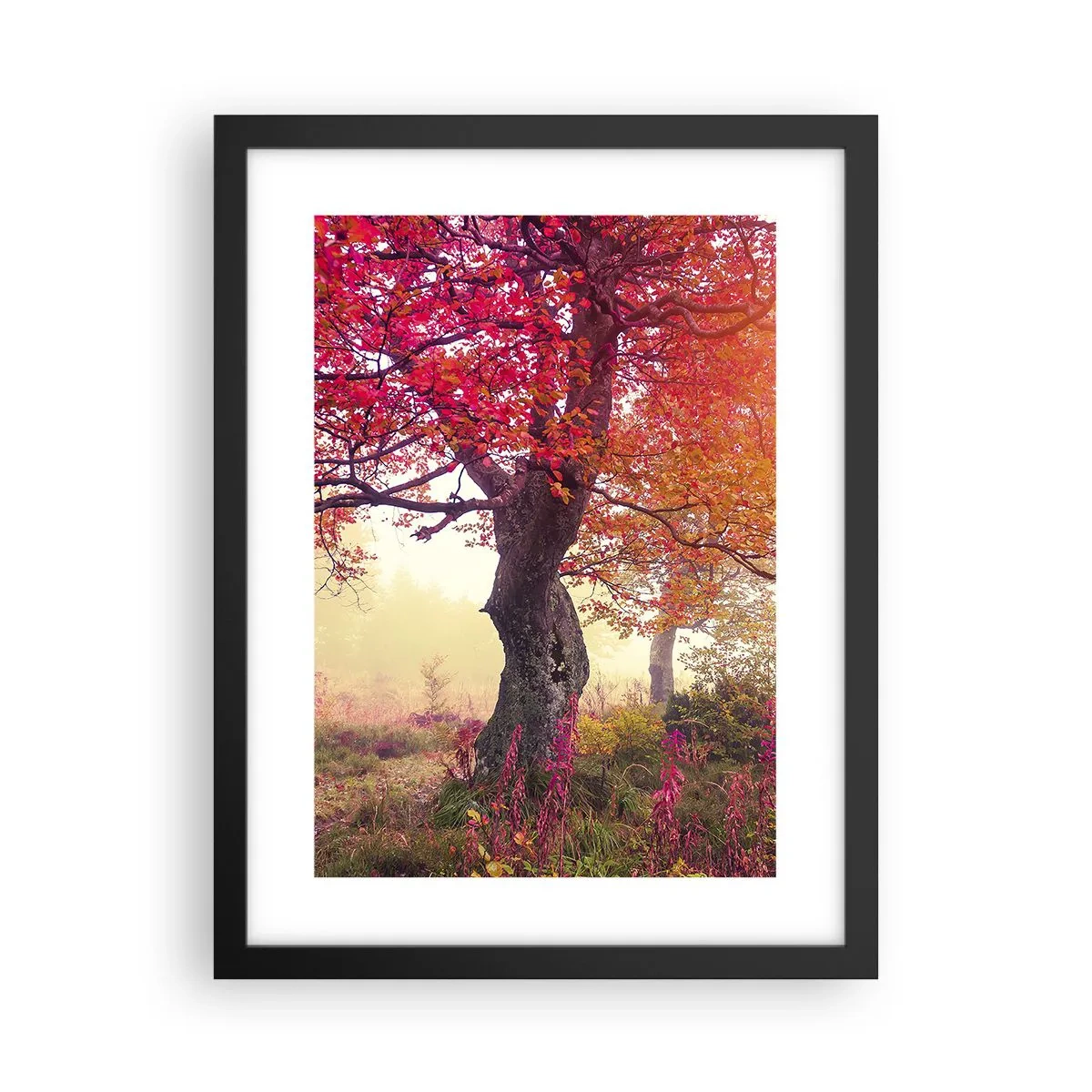 Plakát v černém rámu - Šílenství rozkvětu - 30x40 cm