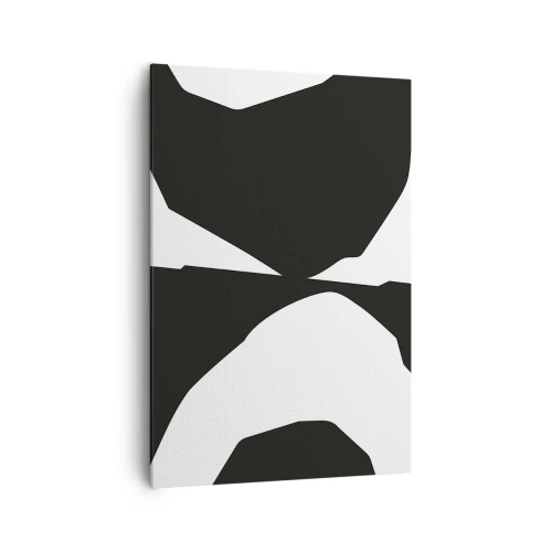 Obraz na plátně - Positive-negative - 70x100 cm