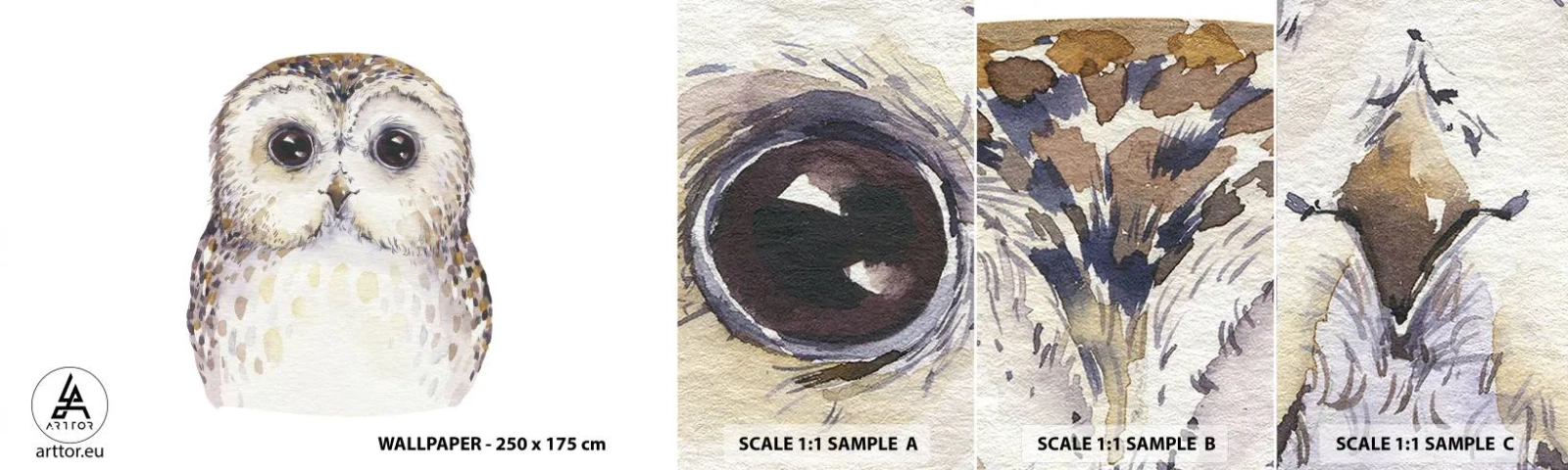 Fototapeta Vzorek Standard Eco - Podívej se mi do očí - Sova, Pták, Grafika - 100x30 cm