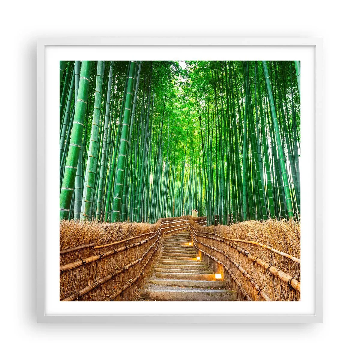 Plakát v bílém rámu - Esence asijské přírody - 60x60 cm