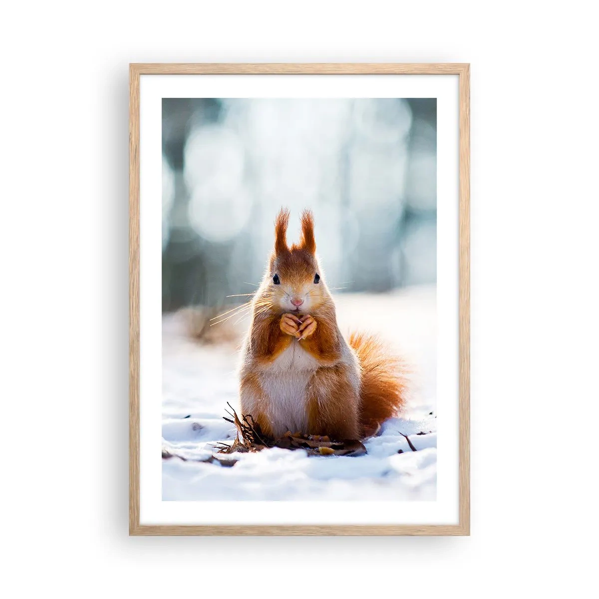 Plakát v rámu světlý dub - Co se tak díváš? - 50x70 cm