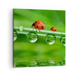 Obraz na plátně - Na cestách celé léto - 50x50 cm