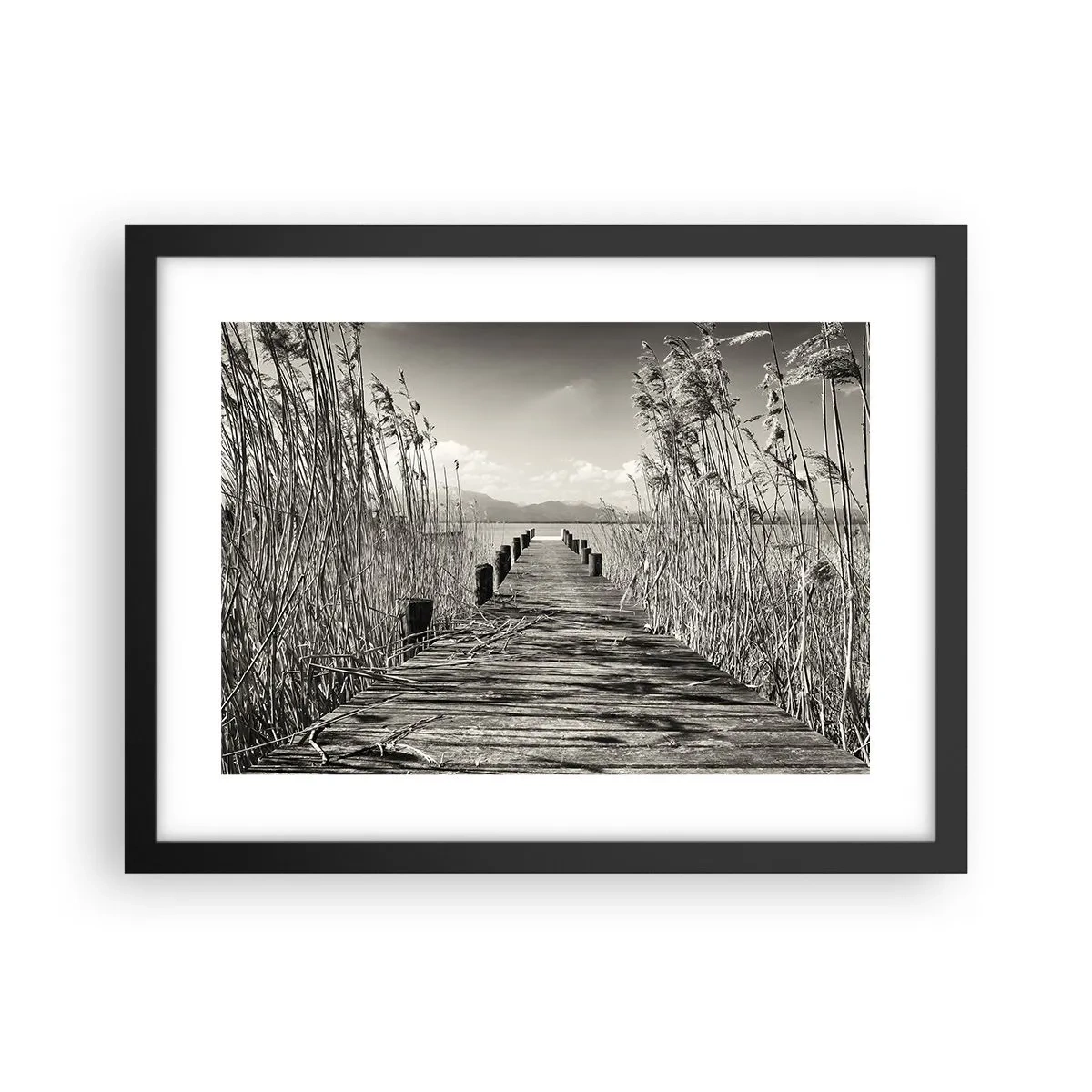 Plakát v černém rámu - V ústraní travin - 40x30 cm