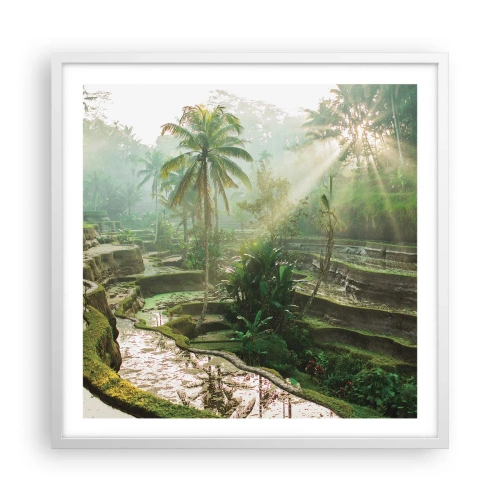 Plakát v bílém rámu - Vyrůstát na slunci - 60x60 cm