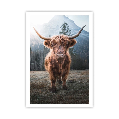 Plakát - Pozdravy z horské louky - 70x100 cm