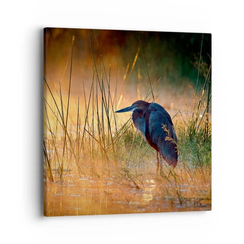 Obraz na plátně - Ušetřete mě těch fotek - 40x40 cm