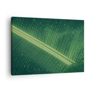 Obraz na plátně - Zelený list s kapkami vody na jeho povrchu - 70x50cm - Struktura zelené - Moderní nástěnná dekorace do obývacího pokoje a ložnice ARTTOR