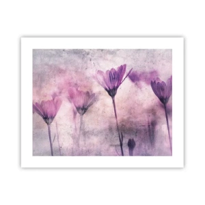 Plakát - Sen květin - 50x40 cm