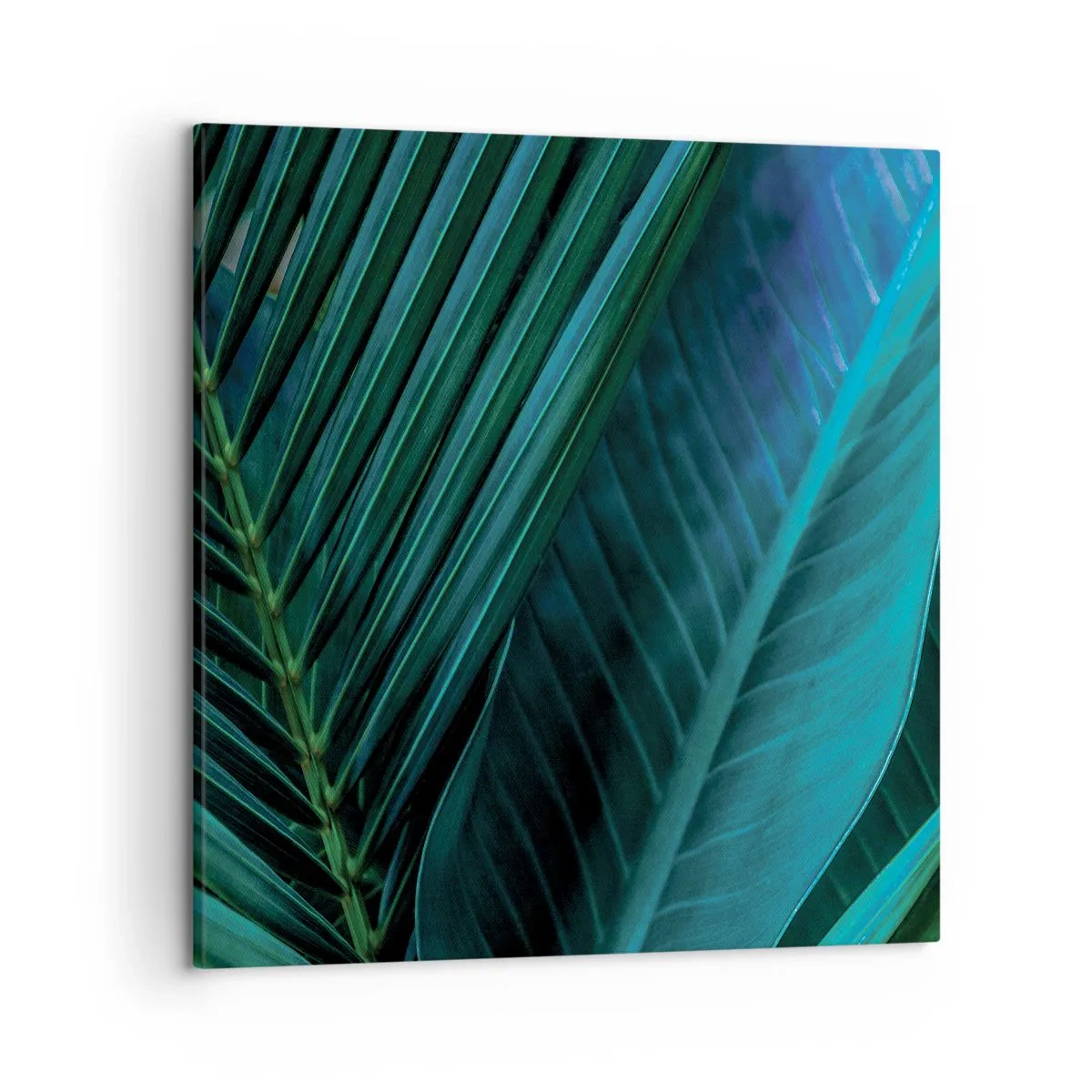 Obraz na plátně - Anatomie zelené - 50x50 cm