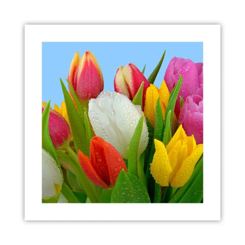 Plakát - Květinová duha v kapkách rosy - 40x40 cm