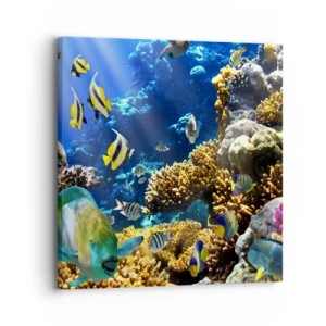 Obraz na plátně - Velký provoz na prázdninové stezce - 30x30 cm