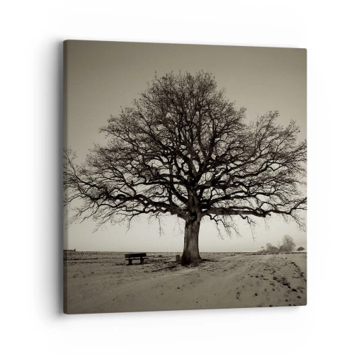 Obraz na plátně - Odtud až na věčnost - 40x40 cm