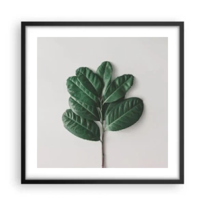 Plakát v černém rámu - Kresba samotné přírody - 50x50 cm