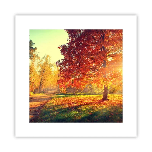 Plakát - Rudé je krásné - 30x30 cm