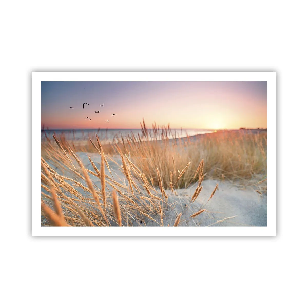 Plakát - Baltská ukolébavka - 91x61 cm