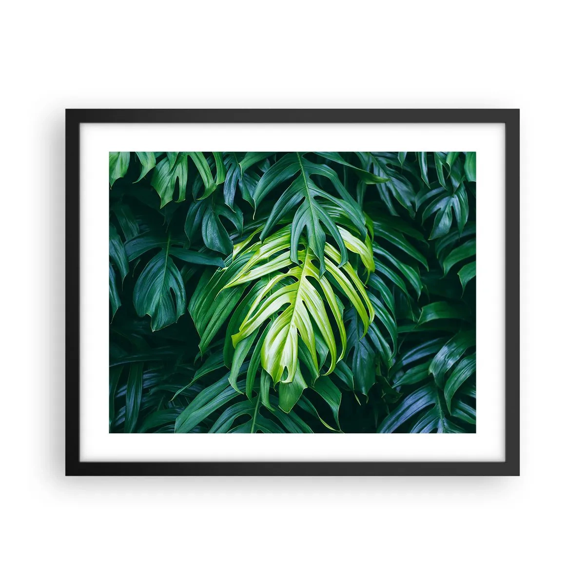 Plakát v černém rámu - Ponořit se do svěžesti - 50x40 cm
