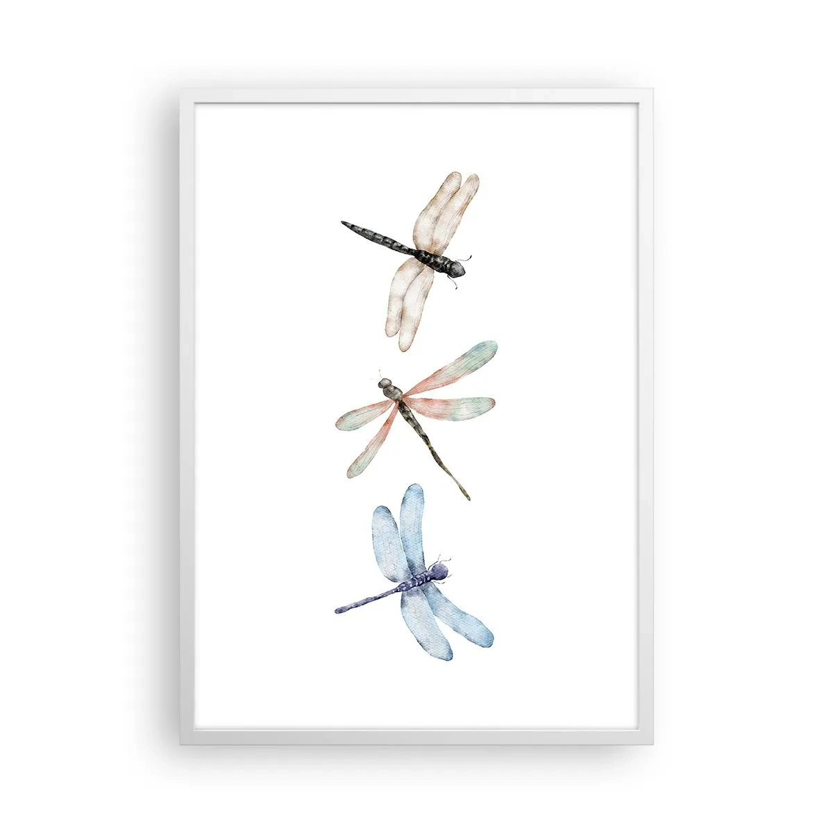 Plakát v bílém rámu - Beztížné vážky - 50x70 cm