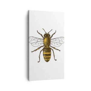 Obraz na plátně - Krásná a dobrá - 45x80 cm