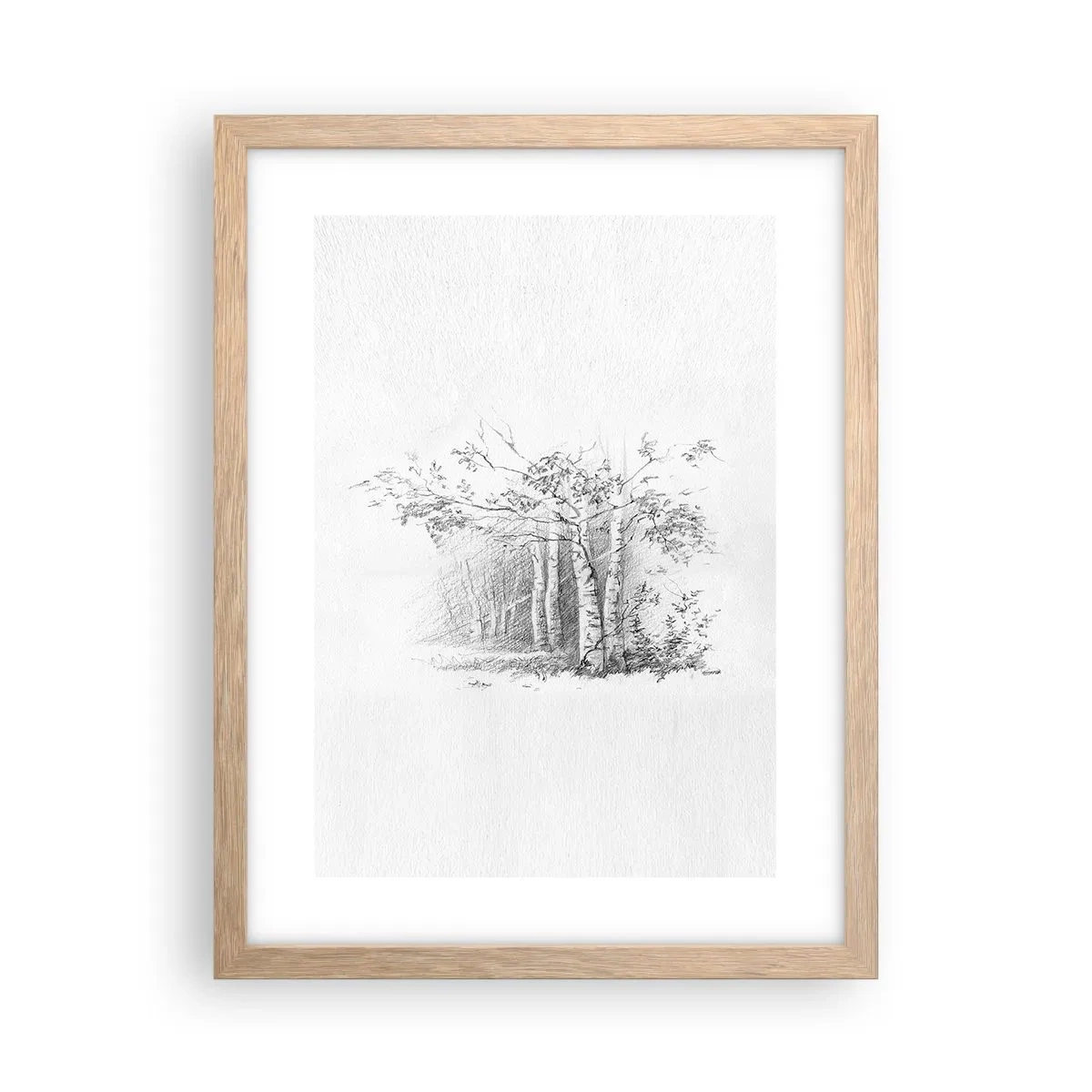 Plakát v rámu světlý dub - Světlo březového lesa - 30x40 cm