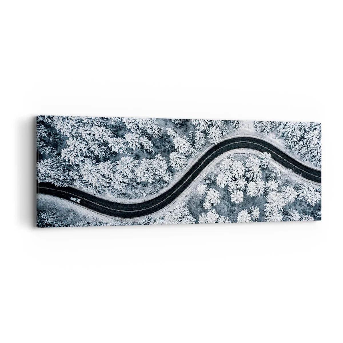 Obraz na plátně - Zimním lesem - 90x30 cm