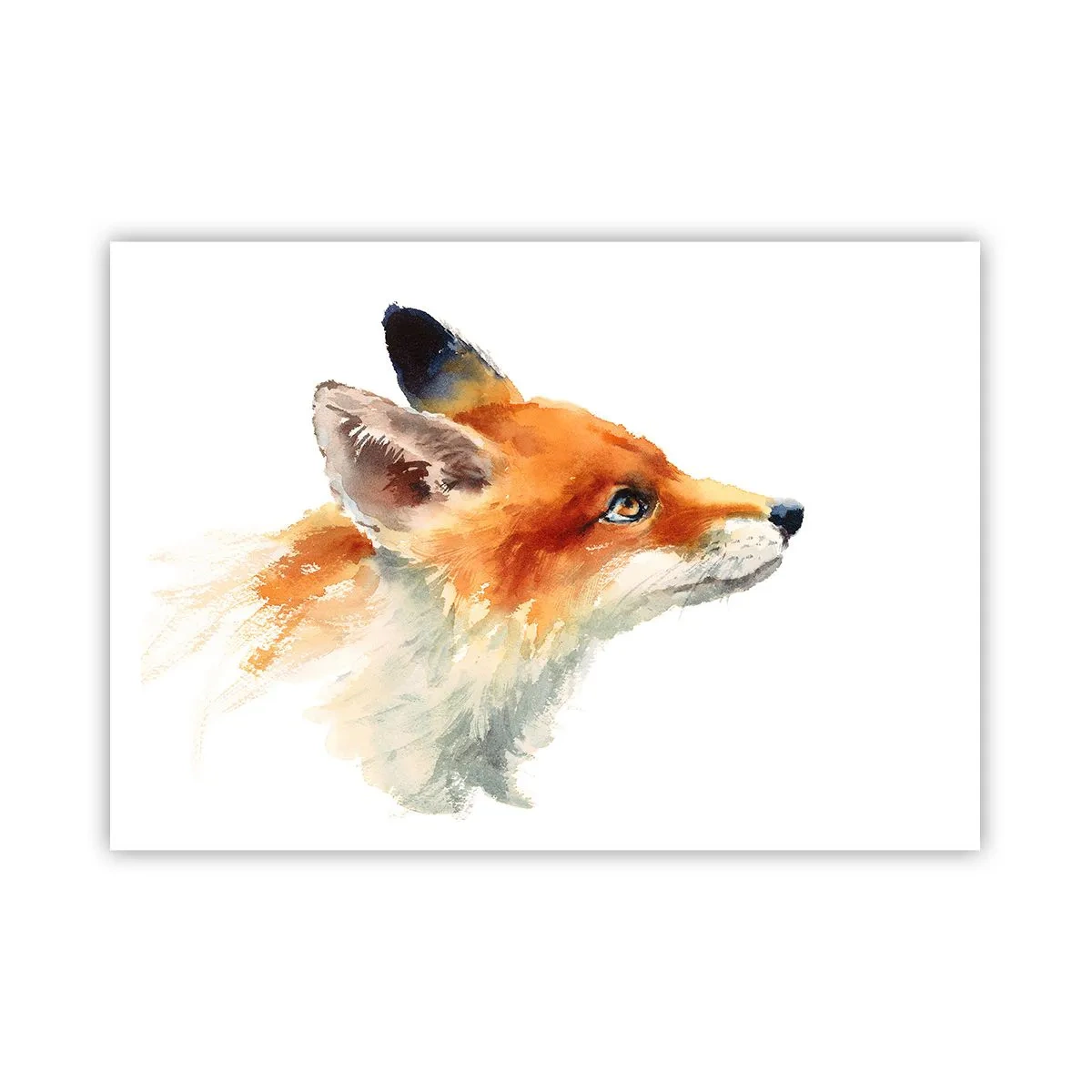 Plakát - Opatrnosti není nikdy dost - 100x70 cm