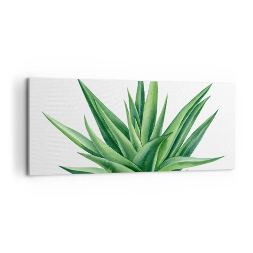 Obraz na plátně - Zelená – síla – život - 100x40 cm