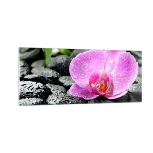 Obraz na skle - Jako otevřené srdce - 100x40 cm