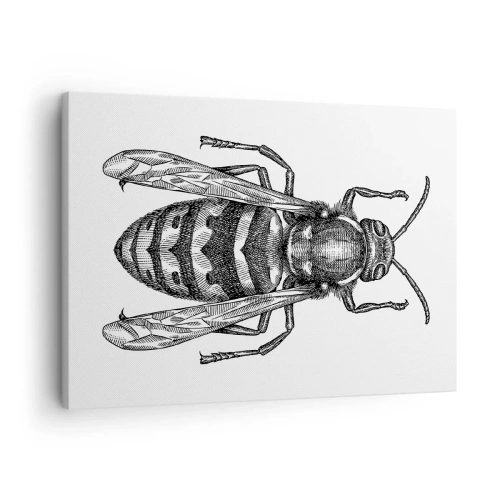 Obraz na plátně - Kreslený motiv vosy na bílém pozadí v minimalistickém stylu. - 70x50cm - Z hmyzí planety - Moderní nástěnná dekorace do obývacího pokoje a ložnice ARTTOR