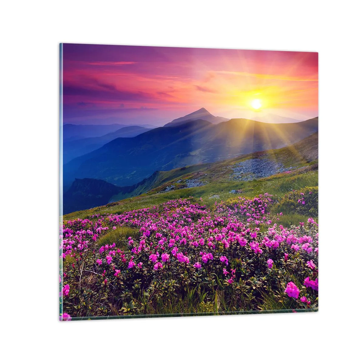 Obraz na skle - …A kolem voní kosodřevina a voní byliny - 40x40 cm