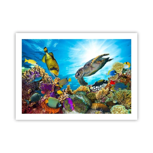 Plakát - Korálová promenáda - 70x50 cm