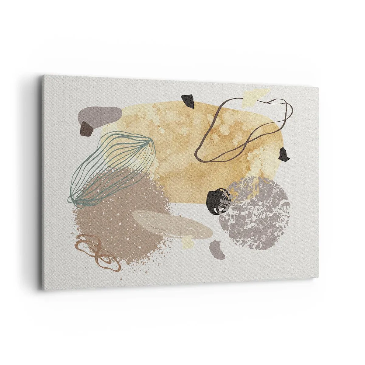 Obraz na plátně - Abstraktní švestka - 100x70 cm