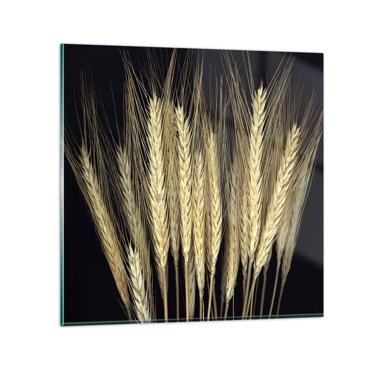 Obraz na skle - Rustikální magie - 70x70 cm