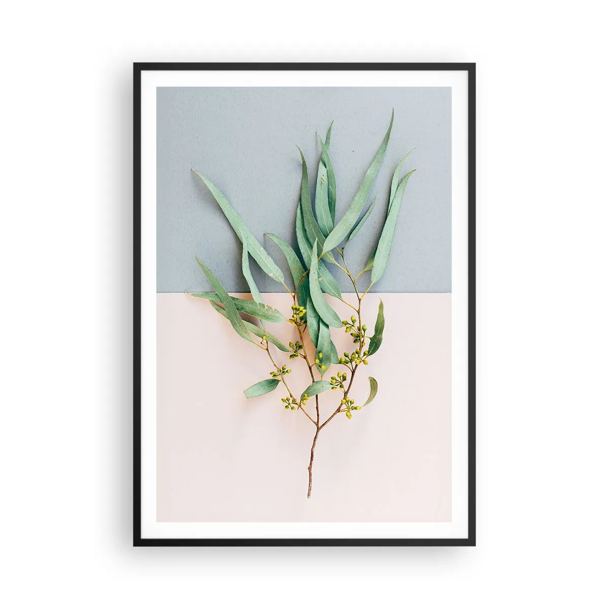 Plakát v černém rámu - Pastelová jemnost - 70x100 cm