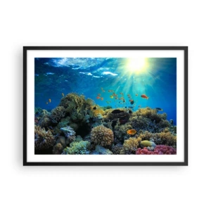 Plakát v černém rámu - Podvodní poklady - 70x50 cm