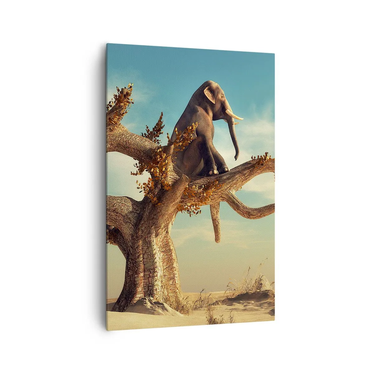 Obraz na plátně - Nový úhel pohledu - 80x120 cm