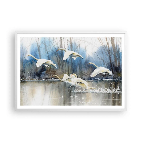 Plakát v bílém rámu - Jako v povídce o divokých labutích - 100x70 cm