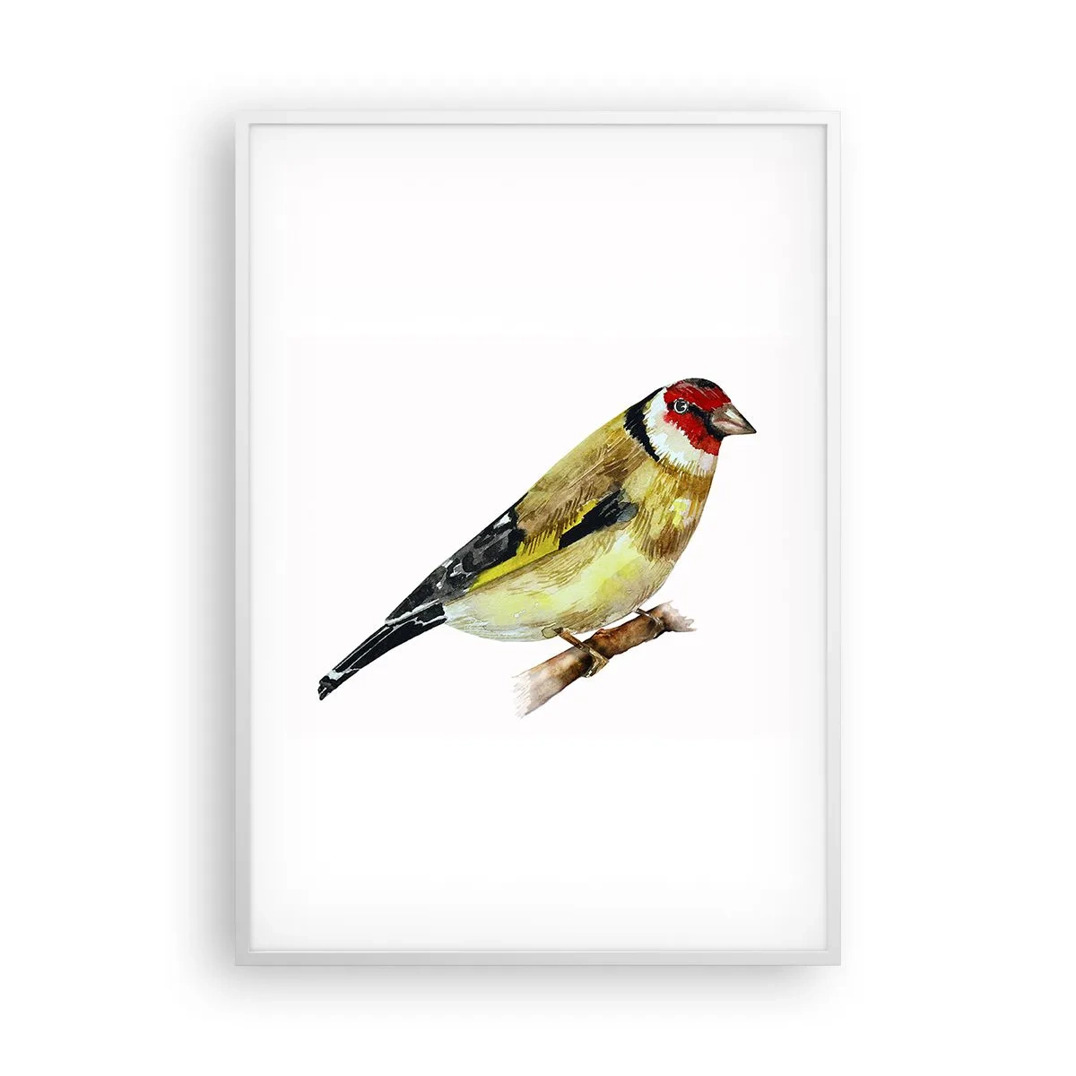 Plakát v bílém rámu - Ptáčí portrét - 70x100 cm