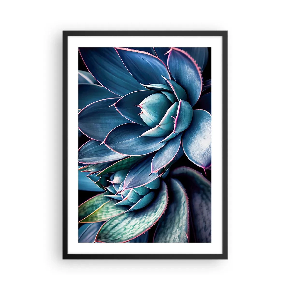 Plakát v černém rámu - Agáve v odstínech modré a zelené - 50x70cm - Vitální síla - Moderní nástěnná dekorace do obývacího pokoje a ložnice ARTTOR
