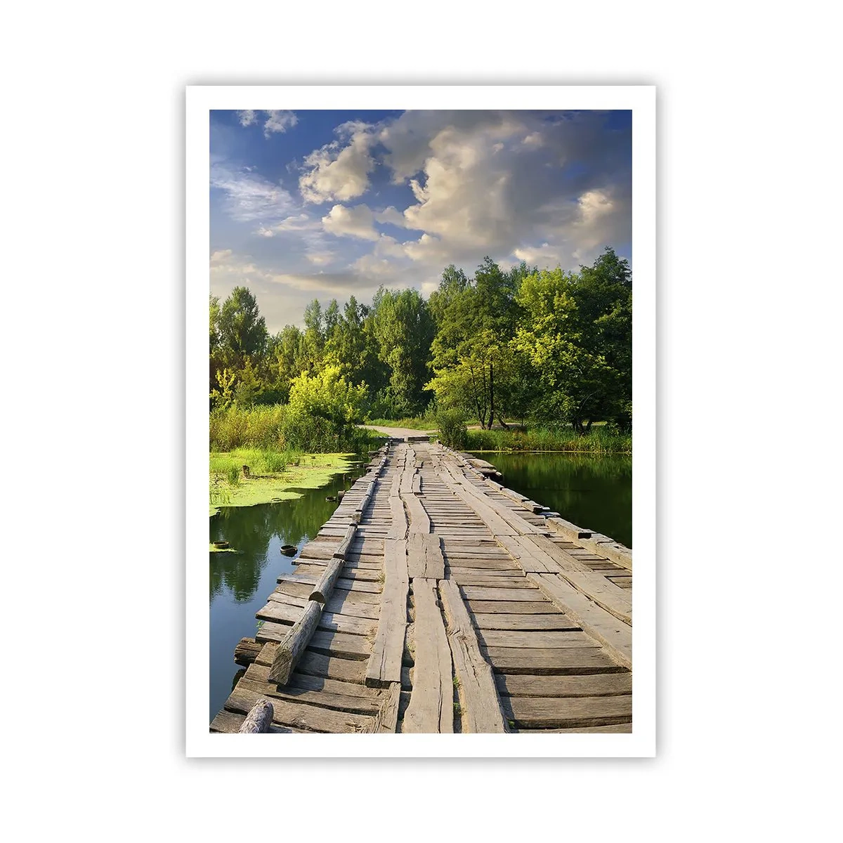 Plakát - Léto, léto všude - 70x100 cm