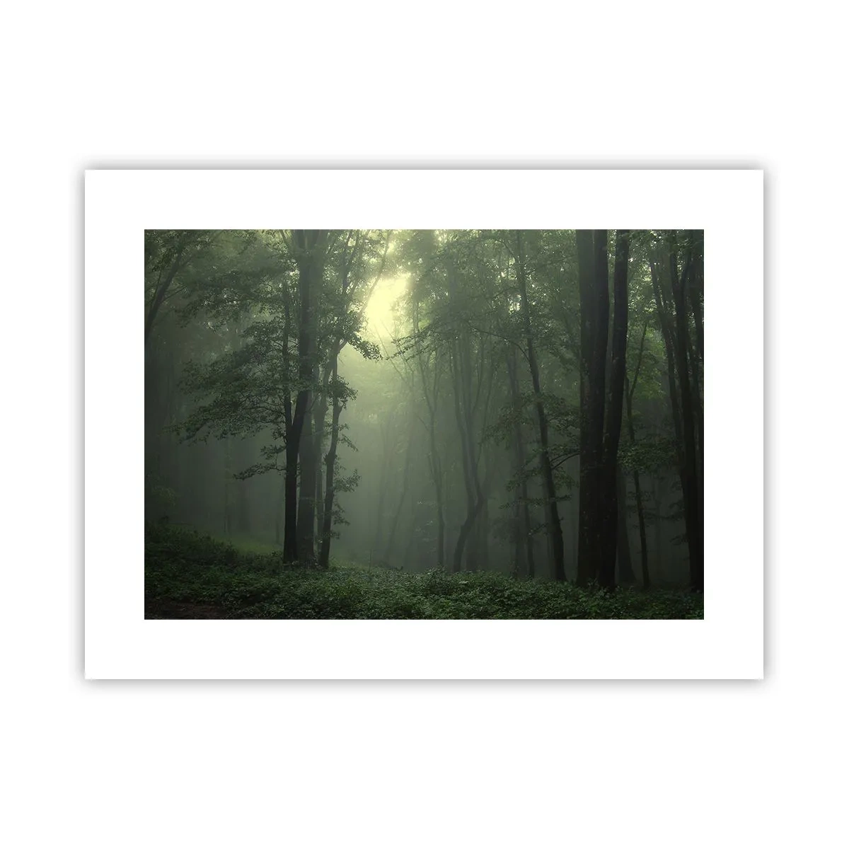 Plakát - Než se probudí - 40x30 cm