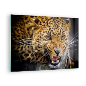Obraz na skle - Detailní záběr agresivního leoparda s jasnými detaily - 70x50cm - Nepřibližuj se, varuji! - Moderní nástěnná dekorace do obývacího pokoje a ložnice ARTTOR