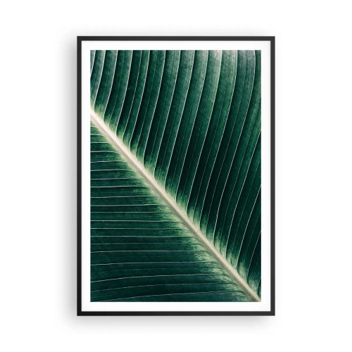 Plakát v černém rámu - Rytmus přírody - 70x100 cm