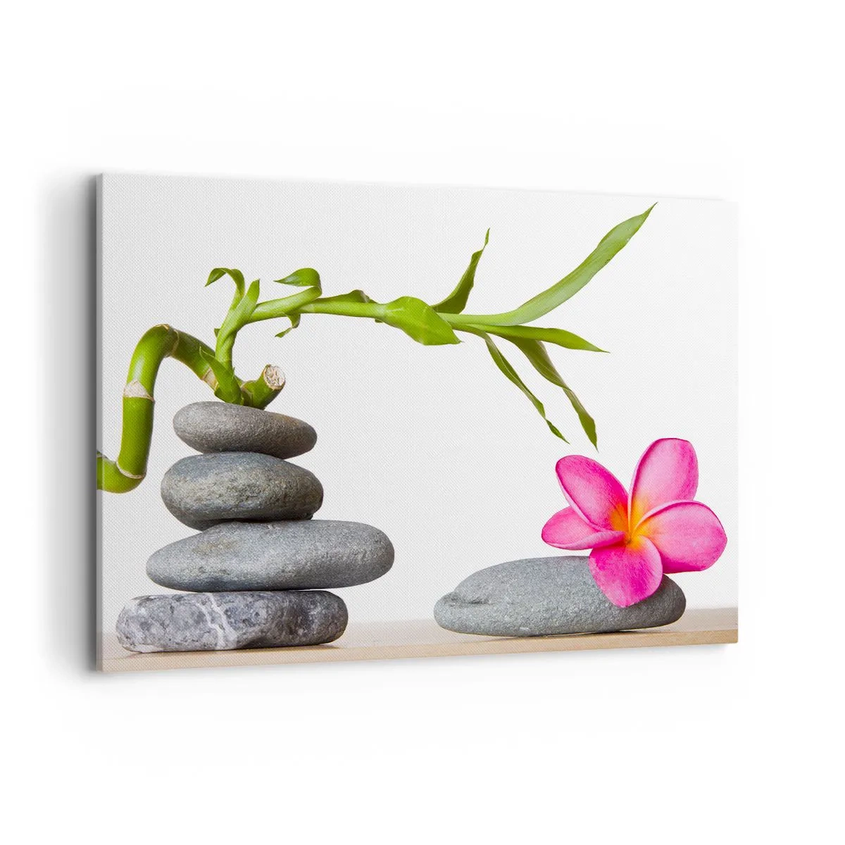 Obraz na plátně - Barvy života a trvání - 120x80 cm