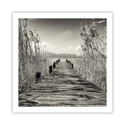 Plakát - V ústraní travin - 60x60 cm