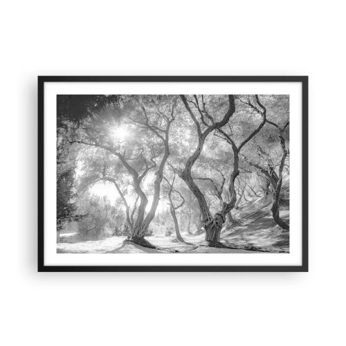 Plakát v černém rámu - V olivovém háji - 70x50 cm
