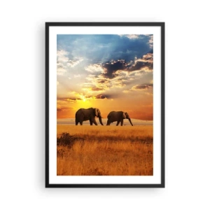 Plakát v černém rámu - Sloni kráčející v záři zapadajícího slunce - 50x70cm - Rodinná procházka - Moderní nástěnná dekorace do obývacího pokoje a ložnice ARTTOR